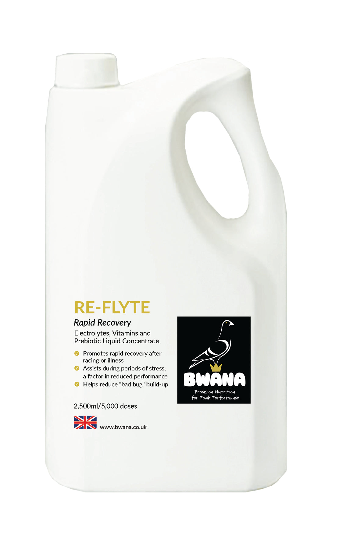 Reflyte Racing Pigeon Rapid Recovery