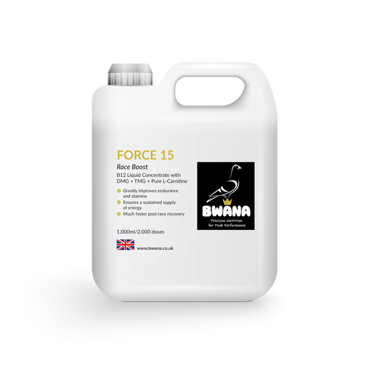 Force 15 Racing Pigeon Pre Race Booster