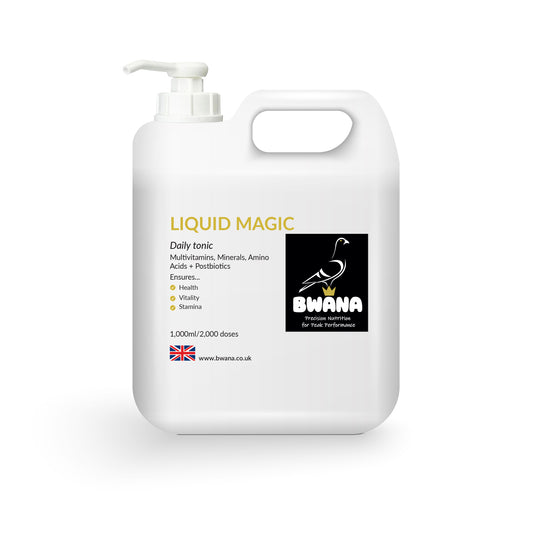 Liquid Magic - Daily Tonic