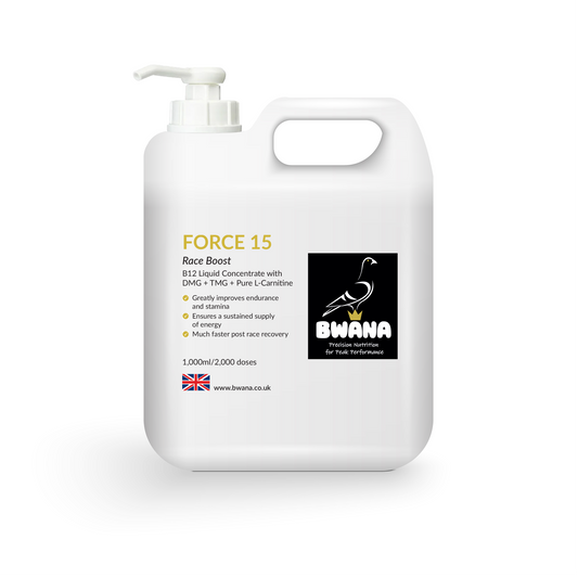 Force 15 Racing Pigeon Pre Race Booster