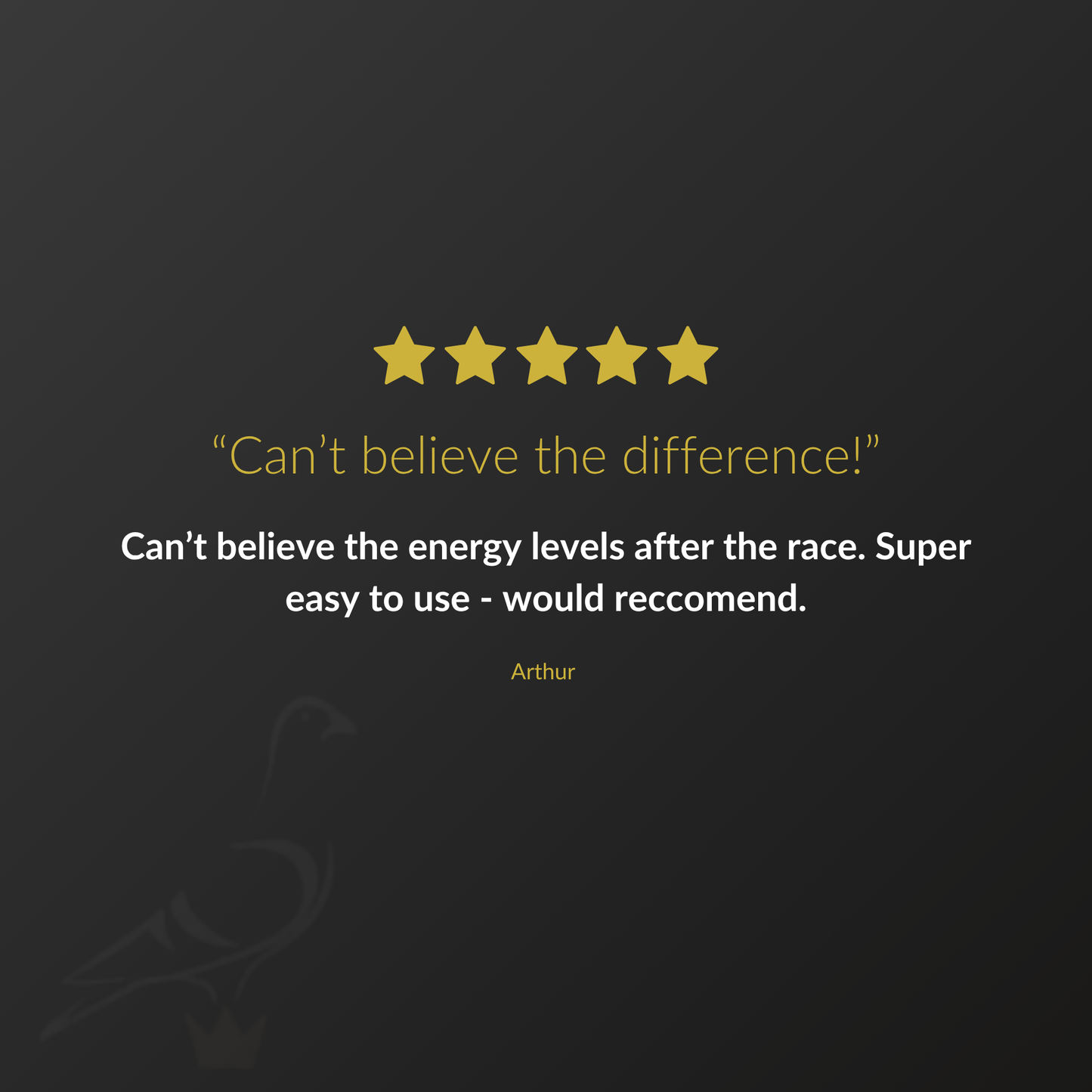 Force 15 Racing Pigeon Pre Race Booster