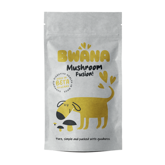BWANA Mushroom Fusion a Natural Health Boost and Immune Support for your Dog
