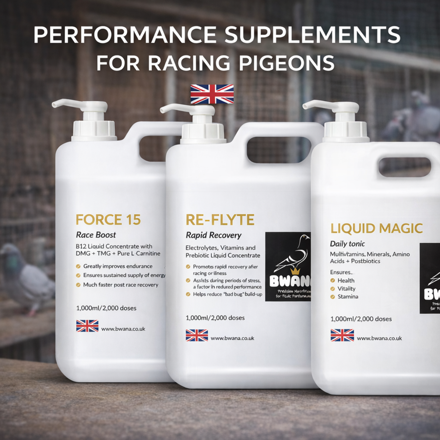 Force 15 Racing Pigeon Pre Race Booster