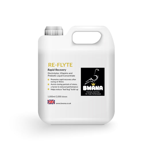 Reflyte Racing Pigeon Rapid Recovery